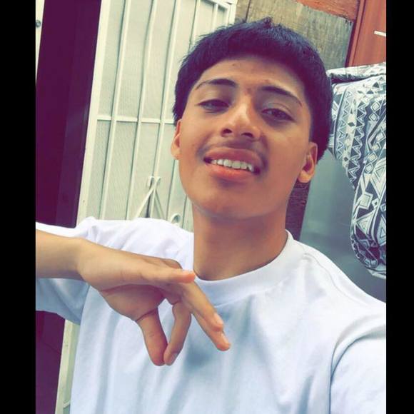 Meet your Posher, Dom - Picture 1 of 1